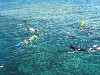 15817
