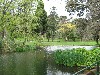 16099