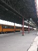 14061
