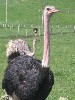 14252