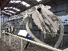 25429