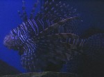 280