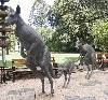 25581