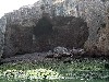 15568
