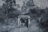 18919