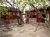 21906