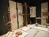 29500