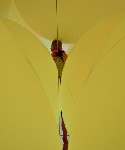 36558