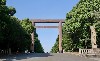 29516