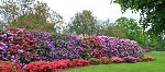 2929