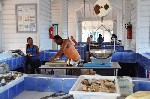 632