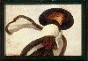 14723