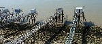 40007