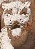 26444