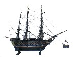 38816