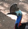 16403