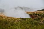 36024